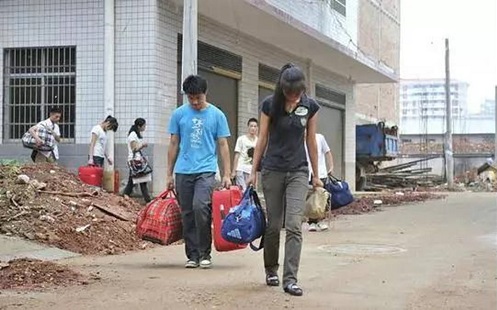 被遣返被傳銷人士-塞伯羅斯動(dòng)態(tài)新聞
